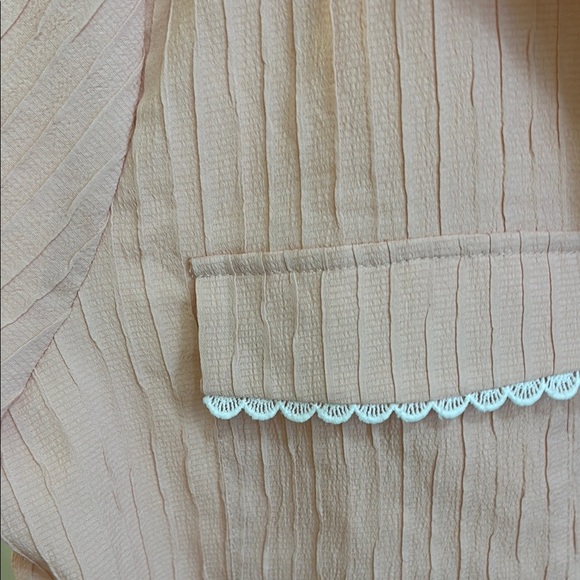 Alice Blue Peach Textured Blouse - Picture 6 of 8